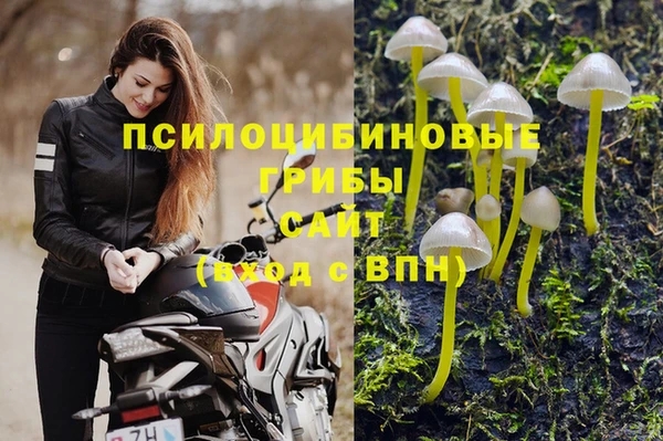 амф Кинешма