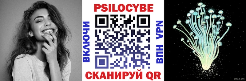 mega зеркало  Полевской  Псилоцибиновые грибы Psilocybine cubensis  как найти закладки 