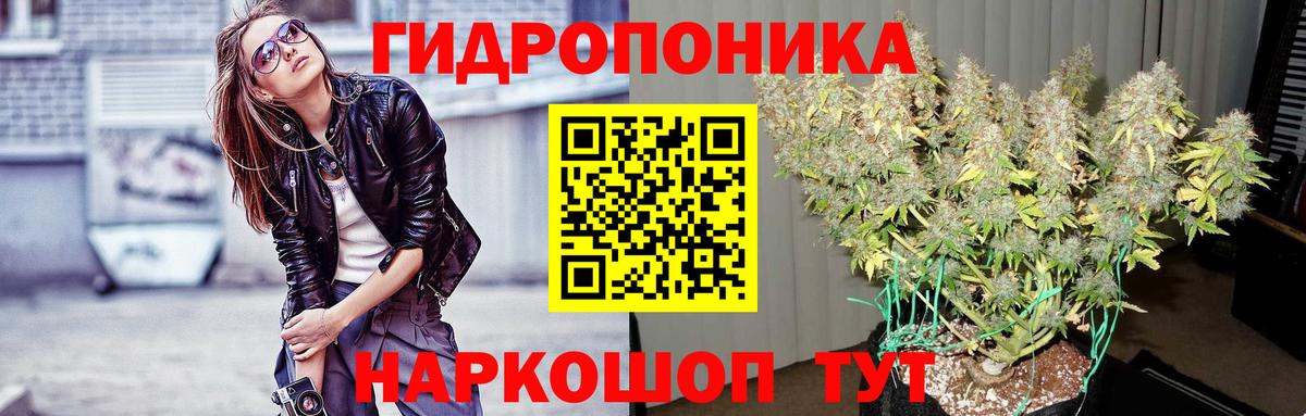 Бошки Шишки AK-47  Вход с VPN  Бошки марихуана семена  МАРИХУАНА AK-47  Бошки марихуана THC 21%  Полевской 